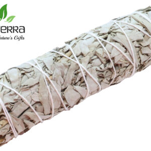 Sauge blanche Smudge