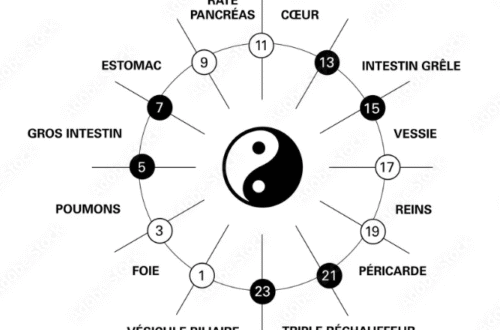 horloge organe