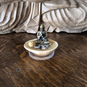 Mamour de coquillage howlite blanche