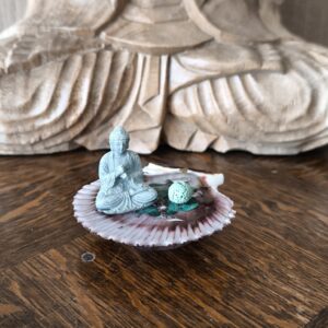 Mamour de coquillage