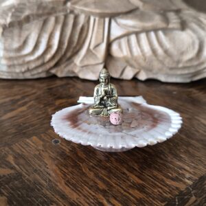 Mamour de coquillage pierre de soleil