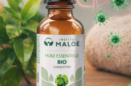 huile essentielle de ravintsara