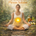 chakra plexus solaire
