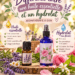 Huile essentielle ou hydrolat _